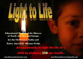 lighttolife1.webp